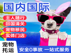 阿鲁科尔沁机场货运国际宠物托运 【国